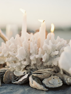 Have You Ever Considered A Seashells Wedding Theme