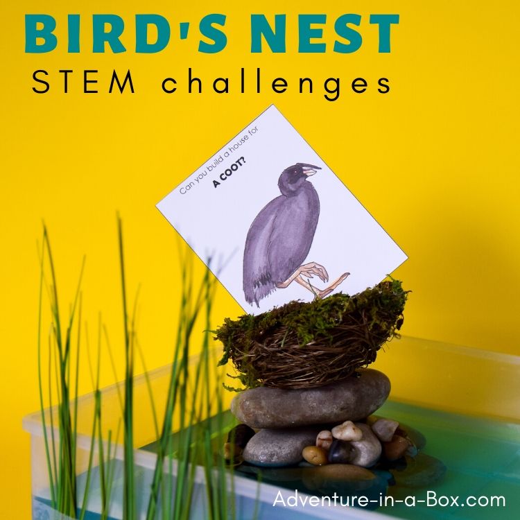 Birds nest engineering challenges