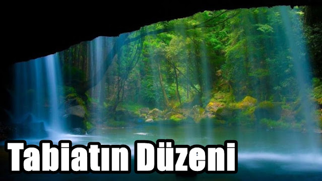 Tabiatın Düzeni