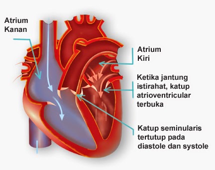 agen prudential