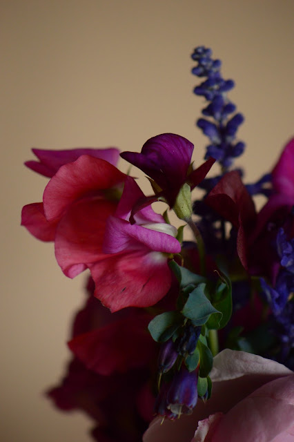 monday vase meme, sweet peas, cerinthe, salvia, small sunny garden, desert garden, arizona garden, amy myers