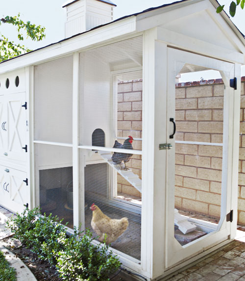 The 'creme de la creme' of chicken coops - Chic Sprinkles