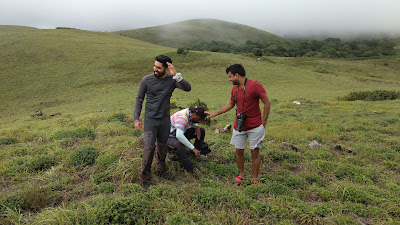 Brahmagiri Wildlife Sanctuary