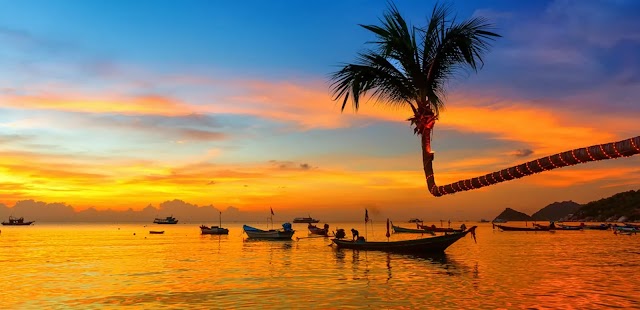 IDC Koh Tao