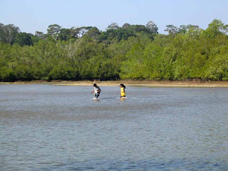 Tempat Wisata Alam Hutan Sancang 