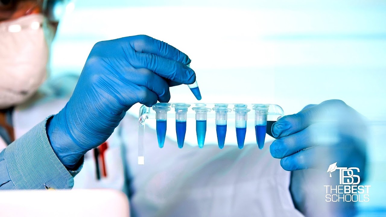 Online Biomedical Engineering Programs