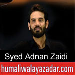 https://humaliwalaazadar.blogspot.com/2019/09/syed-adnan-zaidi-nohay-2020.html