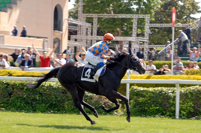 Domenica il Primi Passi ma non c'è Crissolo! Match tra imbattuti Quiz Evolution, Omaticaya, Arpinati e Seaside Runner. De Montel e Mantovani, ecco i promettenti 2 anni della domenica in chiave futura. Studia attraverso i video...