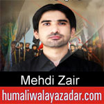 https://humaliwalaazadar.blogspot.com/2019/08/mehdi-zair-nohay-2020.html