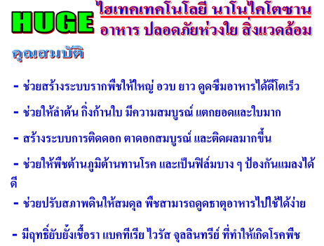 Huge นาโ ไคโตซาน