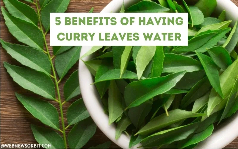 5 Benefits of Having Curry Leaves Water Every Morning - Web News Orbit