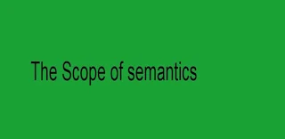Scope of Semantics