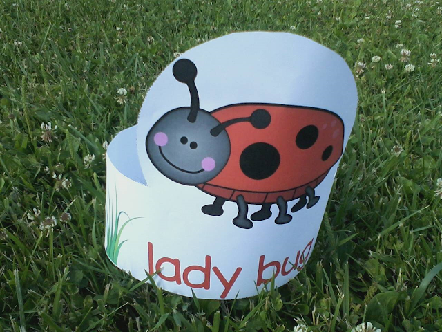 Bugs, Insects, Bug Hats, Bug themed