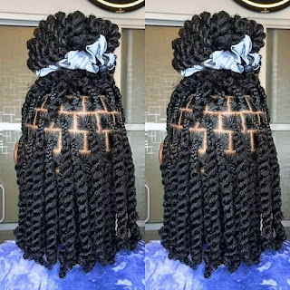 Two-Strand Twists Hairstyle