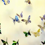 butterflies (52).jpg