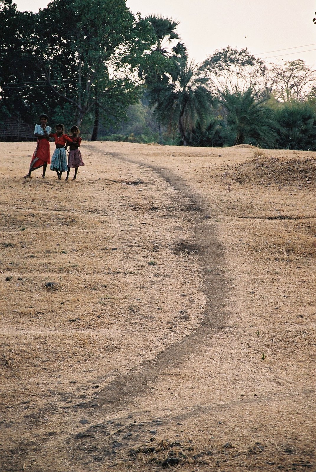 warli photo on the path