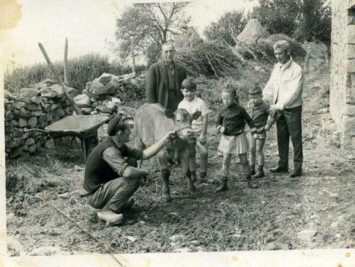 fotoso de fantasmas, assombrações, aparições, foto, assombração, medo, terror, macabro, susto, real