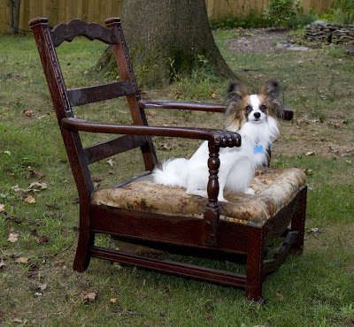 Mr. Parker poses on the chair, before our work began