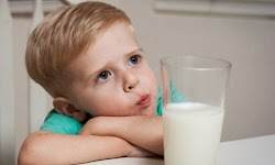 Όλοι μας σχεδόν είμαστε πεπεισμένοι ότι το γάλα αποτελεί την πιο σημαντική τροφή για της υγεία των παιδιών. Και αν τυχόν στο παιδί μας (ή το...