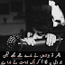 Best Friend Poetry In Urdu 2 Lines - Friendship Poetry In Urdu Dosti Poetry Best Urdu Poetry