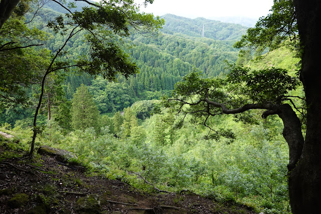 鳥取県西伯郡南部町八金 金華山登山道からの眺望