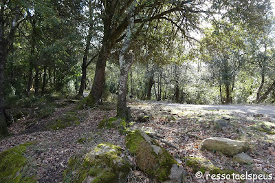 Recorrent territori de volcans III