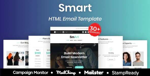 Best Multipurpose Responsive Email Template