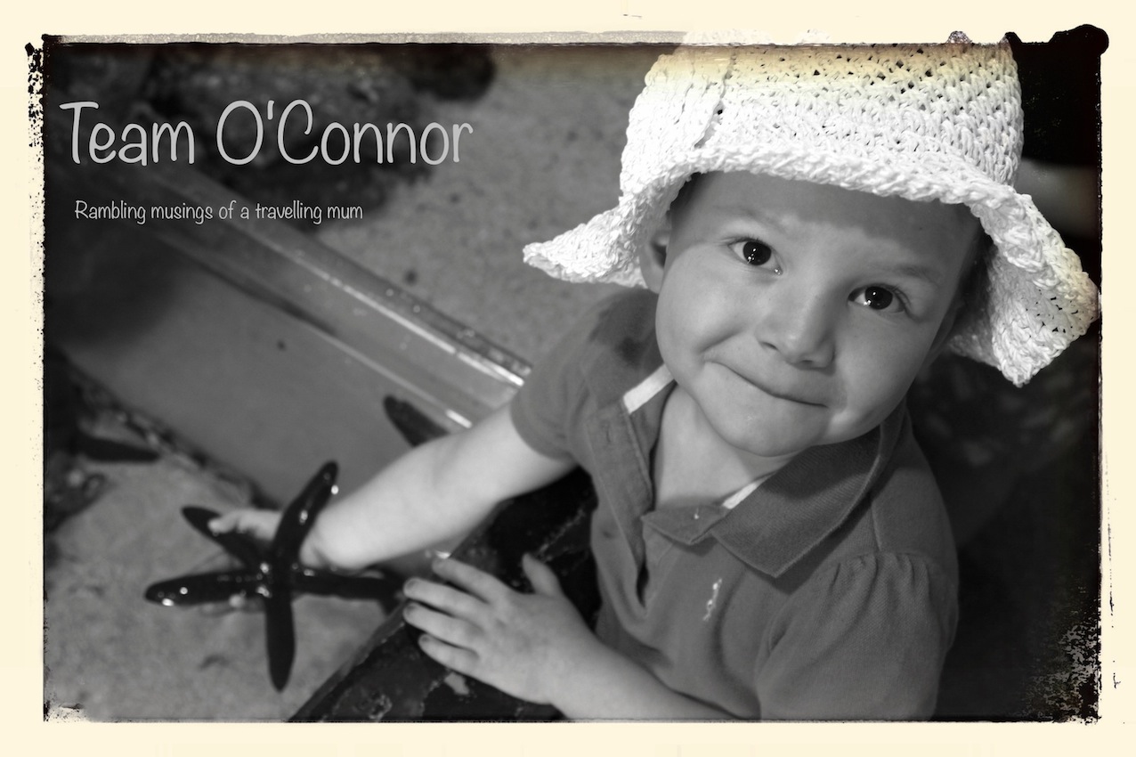 Team O'Connor