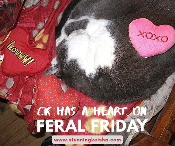 Feral Friday: CK Has a Heart On