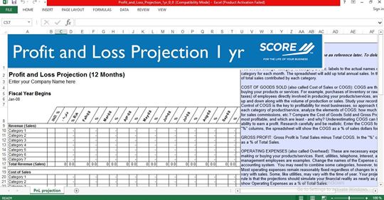 12-month profit and loss projection excel template