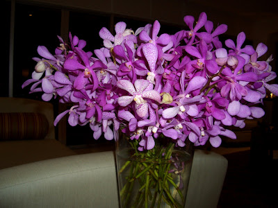 These are the purple orchids I 