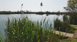 Els Estanys d'Almenara, provincia de Castellón.