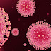 Coronavirus, comunicado oficial (I)