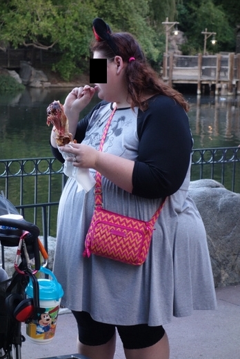 タケマシュラン Disneyland Park Anaheim