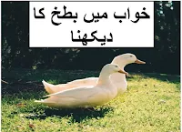 khwab mein batakh duck ka dekhna