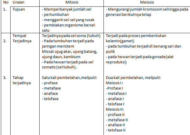 Contoh Soal Essay Biologi Kelas XII Semester 1 Beserta Jawaban Part4 Terbaru