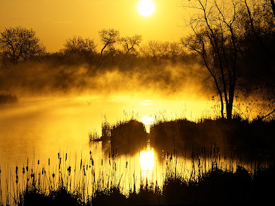 niebla-matinal