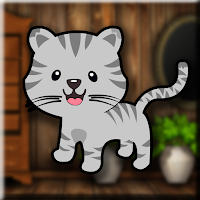 Play Games2Jolly Rescue The Cute Tabby Cat