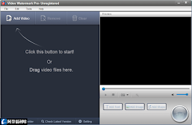 Video Watermark Pro