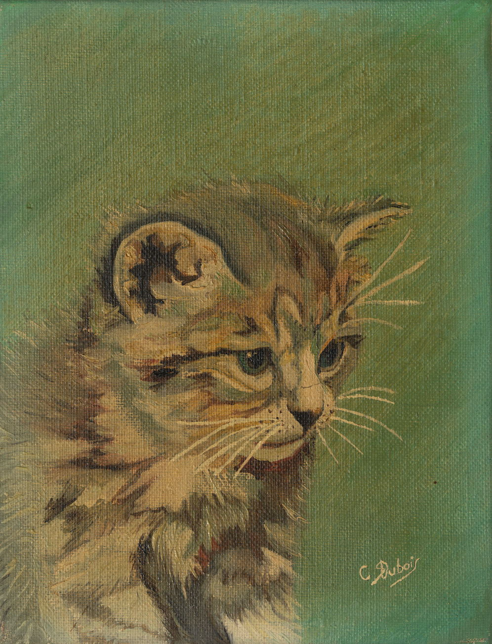 THE ROGUE CATS