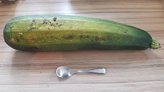 Large green marrow on a wodden worktop. Tea spoon underneath for scale.