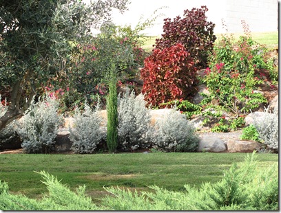 Flower Garden 2