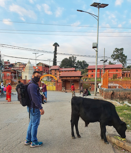 Templo de Pashupatinath Kathmandu Nepal