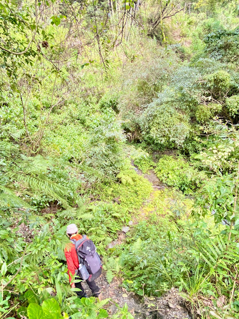 往紅香山--過小溪路