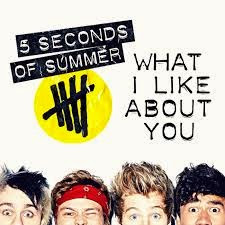 5 seconds of summer what i like about you lyrics