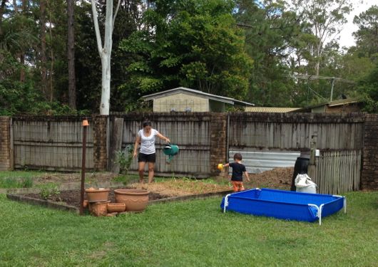 Back in the vegie garden