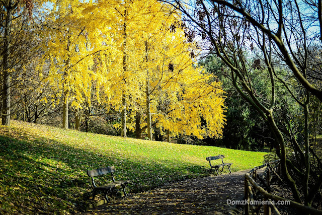 Parco Bucci Faenza Dom z Kamienia