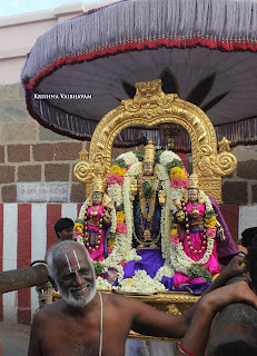  Gajendra Varadhar, Hastham, Chithirai, Thiruvallikeni, Sri PArthasarathy Perumal, Temple, 2017, Video, Divya Prabhandam,Utsavam,