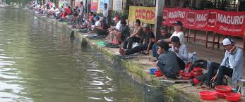 http://aquaticessen.blogspot.com/2016/12/umpan-ikan-mas-air-hijau.html