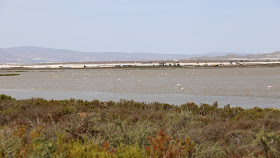 Las Salinas de Cabo de Gata Las Salinas de Cabo de Gata